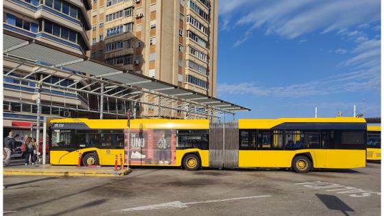 Bybuss i Las Palmas, Gran Canaria.