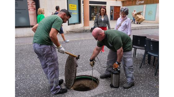 Rottefangere i Las Palmas.