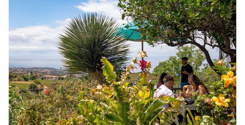 Guachinche el Cubano på Tenerife