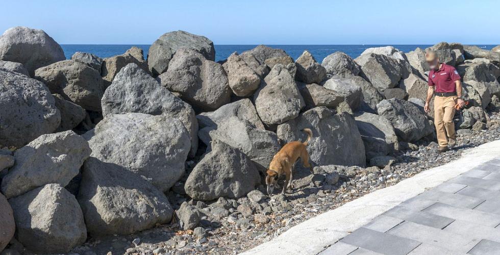 Mann går etter hund ved en steinmolo.